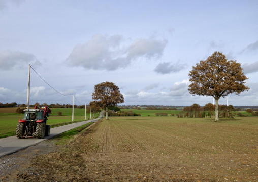 Illustration d'un paysage de plaine du Pays de Craon