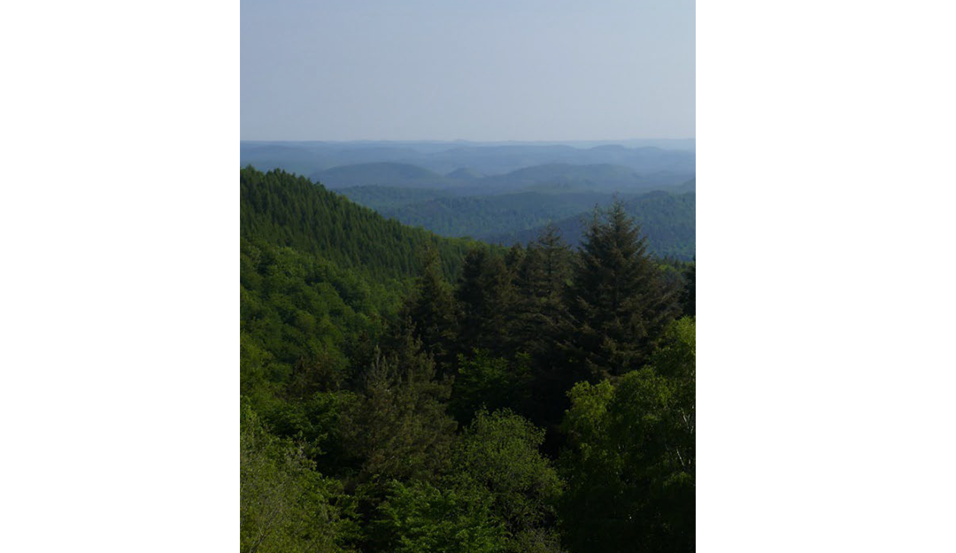 Parc Naturel Régional des Vosges du Nord  