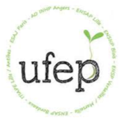 Logo UFEP