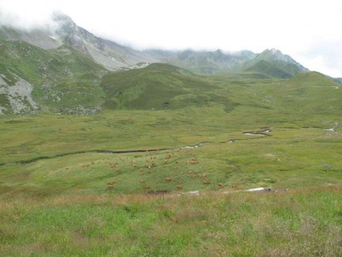 col_du_cormet_de_roselend_-_gollet_du_cormet_de_roselend_1-10d17