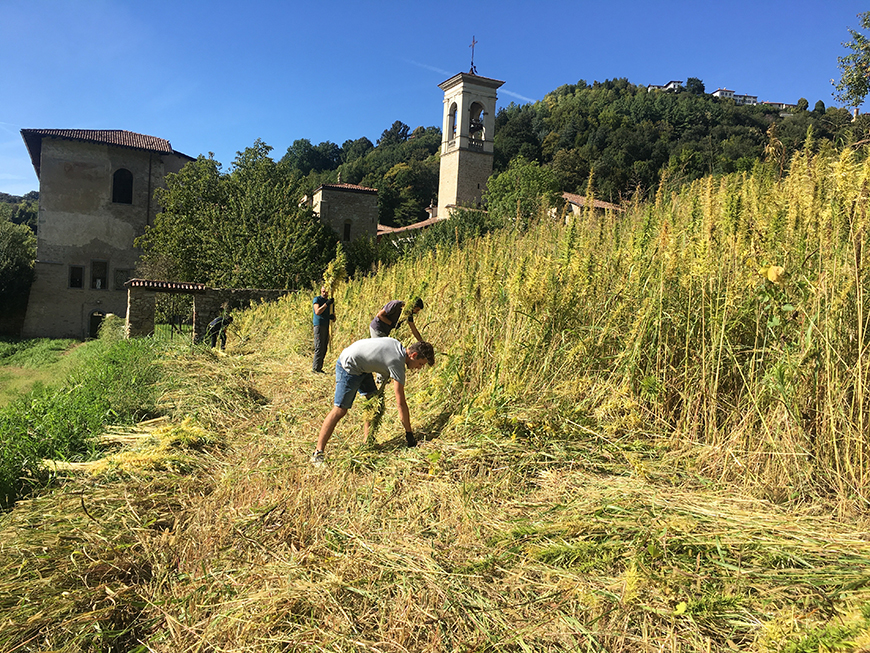 Italy - 04_Antignati_Hemp-fields