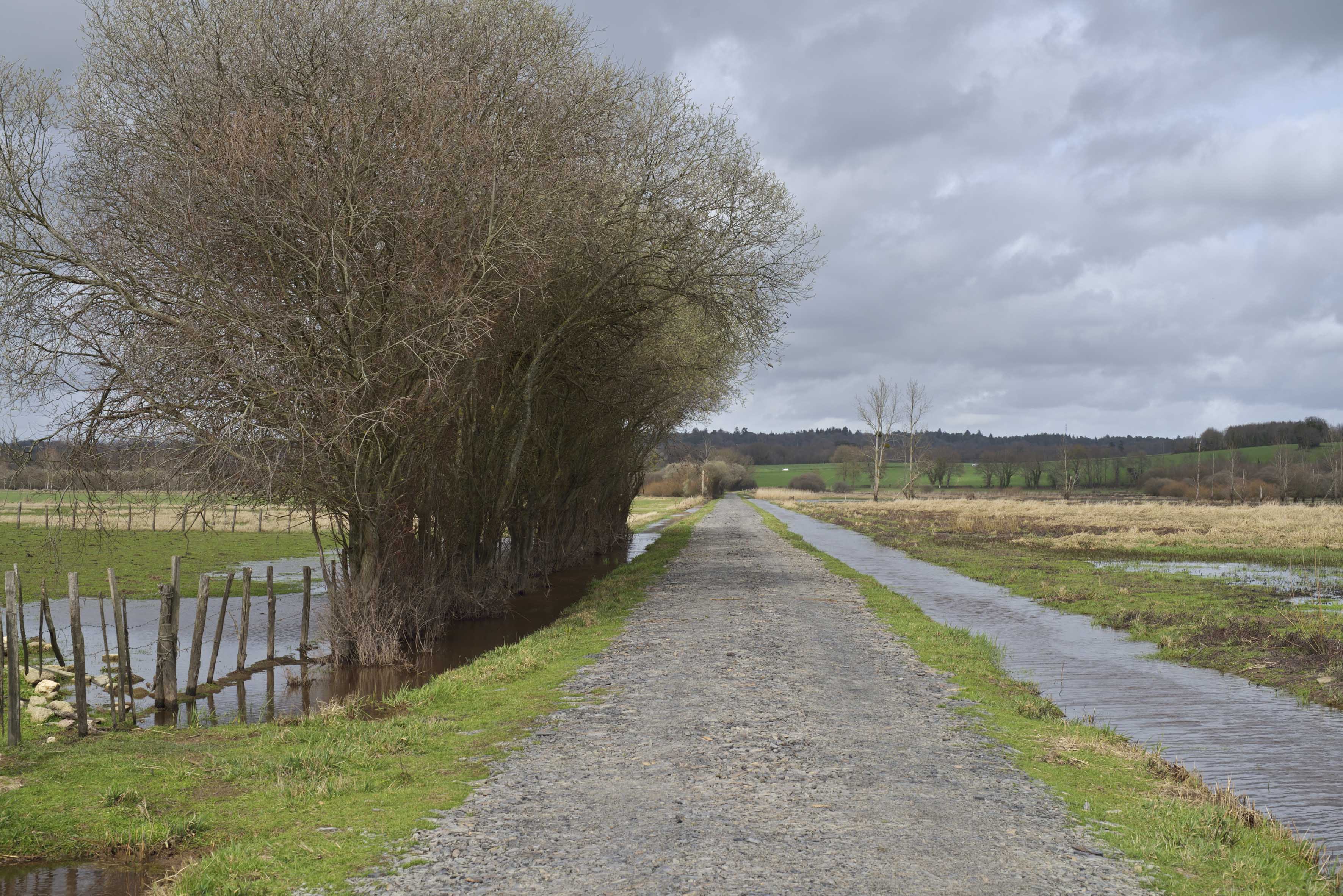 Vallée de la Vilaine autour de Redon_credit Guillaume BONNEL.jpg