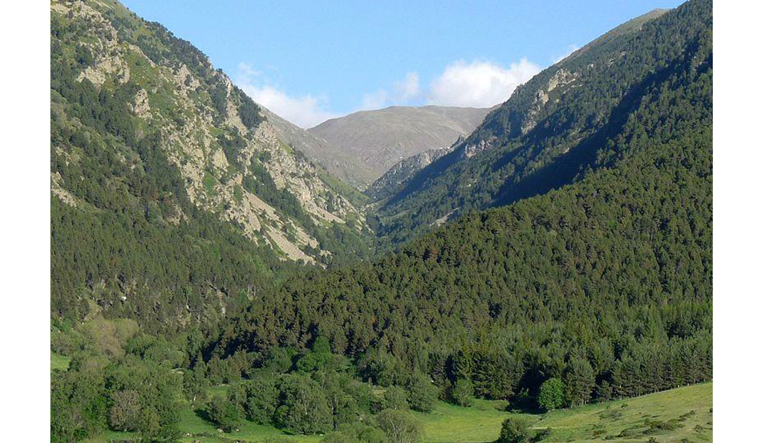 Territoire du Haut-Conflent 