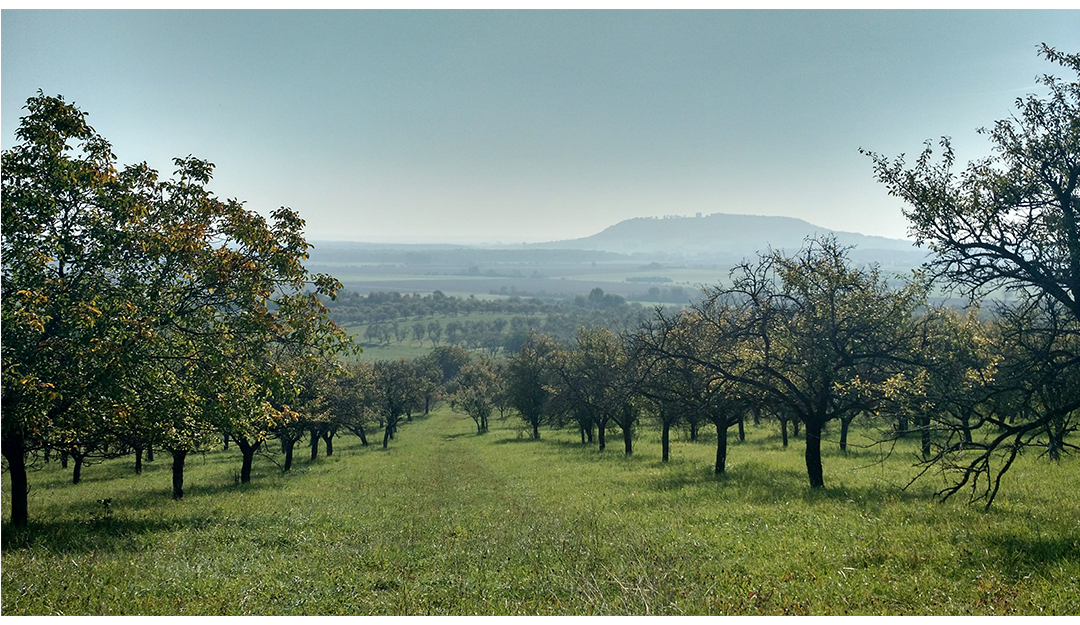 Communauté de communes Côtes de Meuse-Woëvre