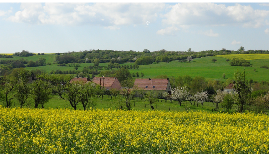 Communauté de communes Rohrbach-les-Bitche  