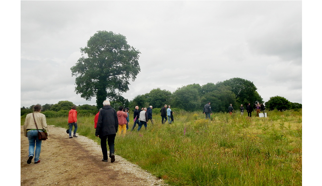 Syndicat mixte de gestion et d'aménagement du PNR dy Golfe du Morbihan