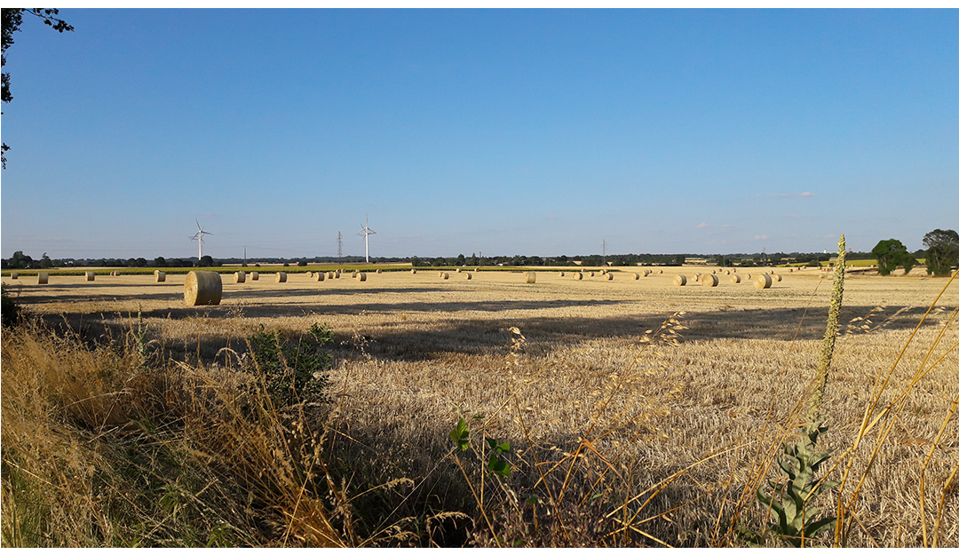 Mellois en Poitou 