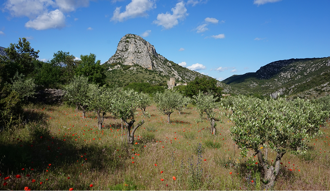 CC de la Vallée de l_Hérault - Occitanie