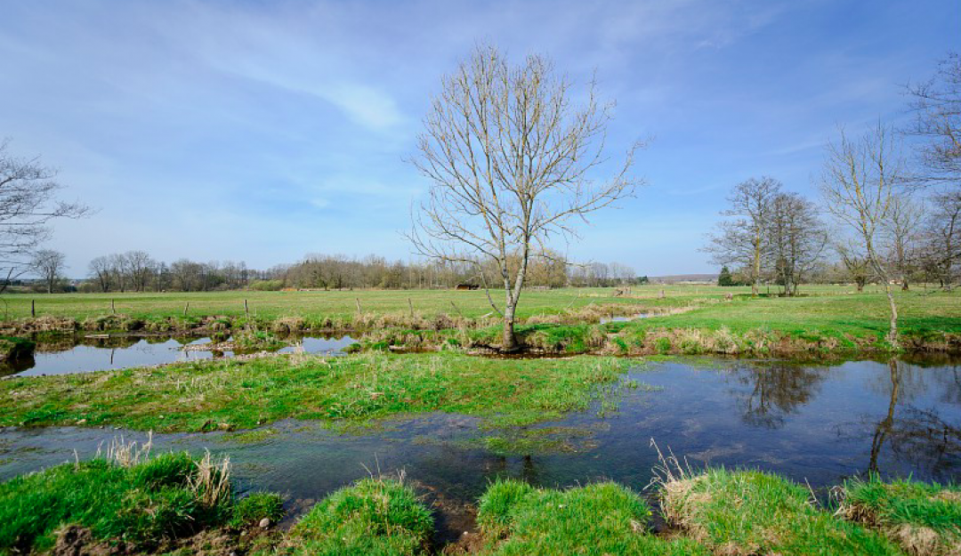 Le Breuchin est une rivière de l'est de la France qui coule dans le département de la Haute-Saône