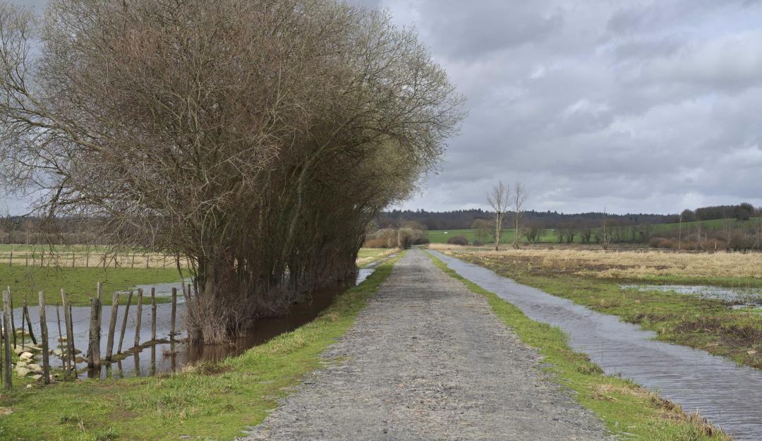 Vallée de la Vilaine autour de Redon_credit Guillaume BONNEL.jpg