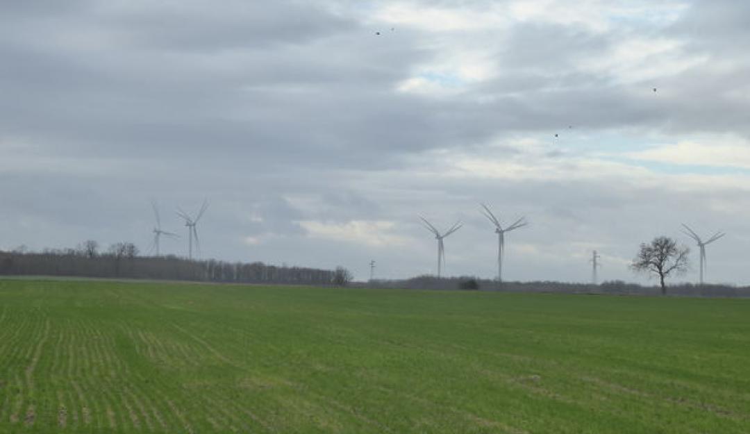 Champ d'éoliennes dans le Thoursais (Vienne), un des premiers territoires français engagés dans la planification paysagère et énergétique. - © Laurent Miguet 