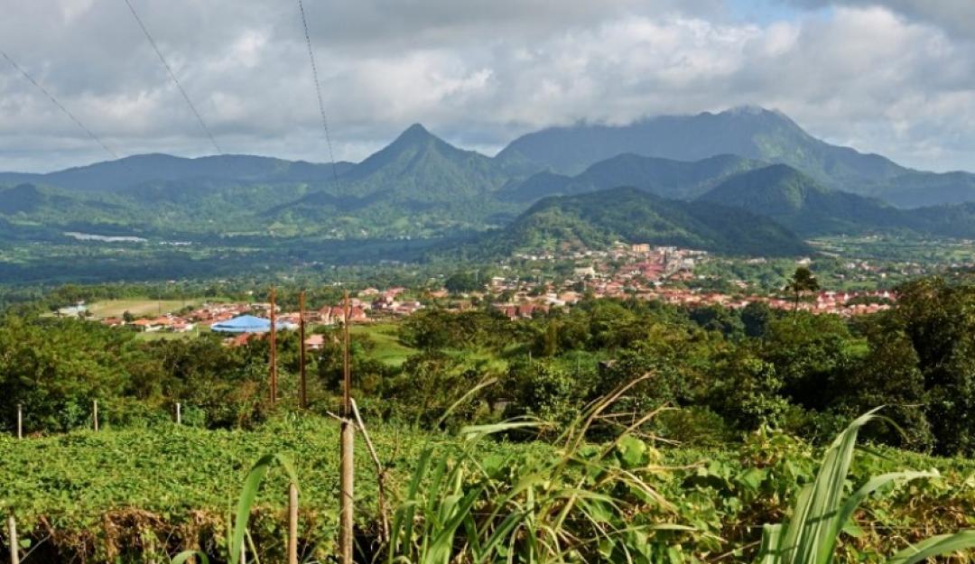 Martinique PP 2020