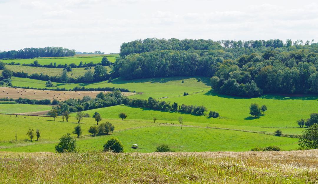 CC Ardennes Thiérache