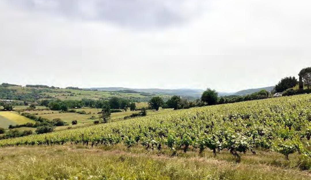 Commune de Légny ©