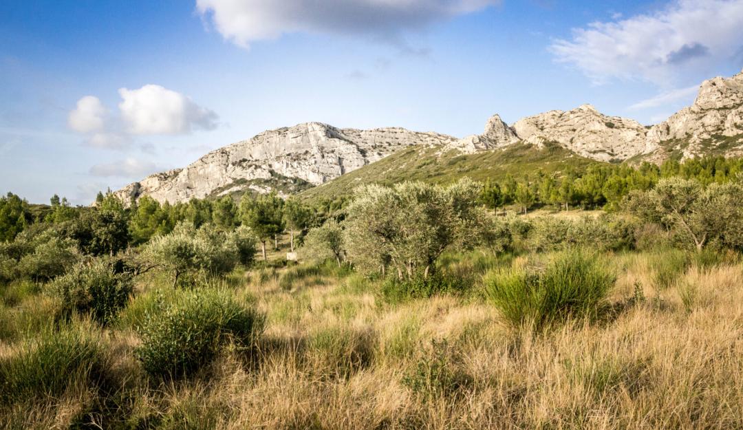 PNR Alpilles (crédit PNR)