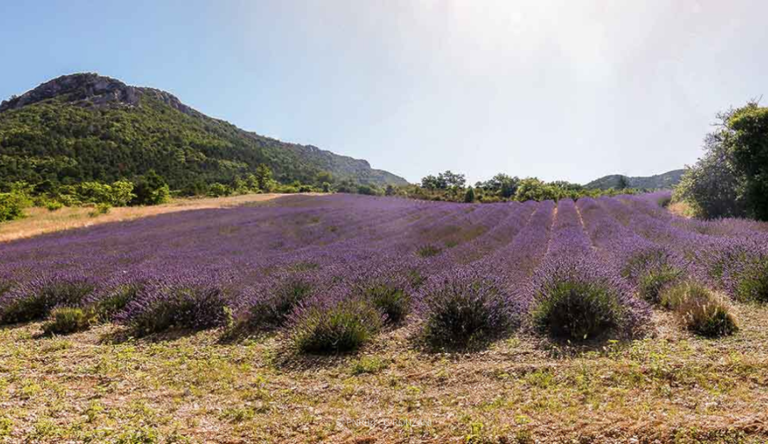 PNR Baronnies Provençales - Credit PNRBp C.RONZANI