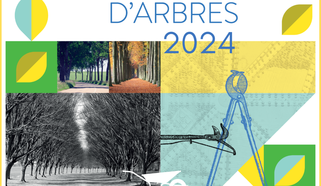 Affiche Prix allées d'arbres Sites et Monuments 2024