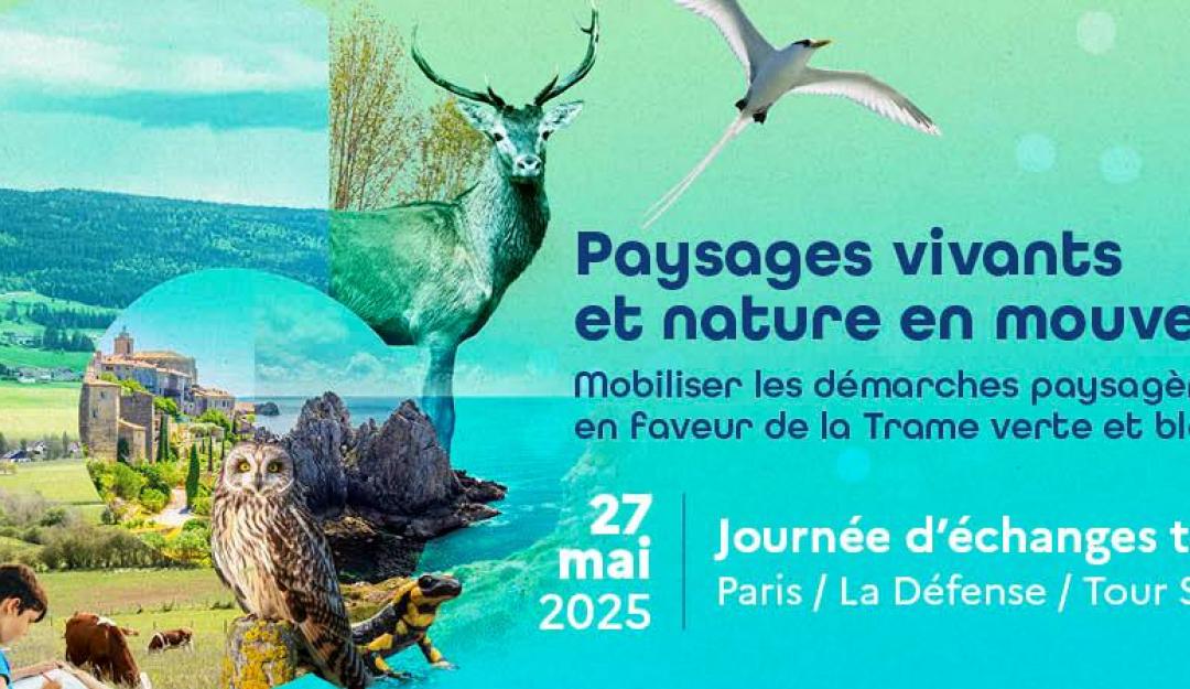 Paysages vivants et nature en mouvement
