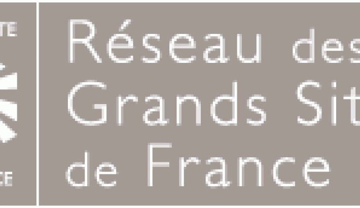 Logo RGSF