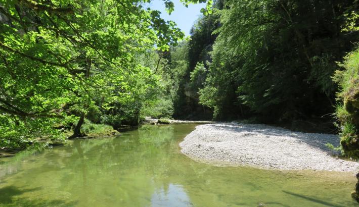 Etape 8_Vallée de la Semine à Saint Germain de Joux_credits DREAL Auvergne-Rhône-Alpes