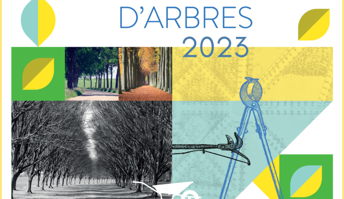 Affiche Prix allées d'arbres Sites et Monuments 2023