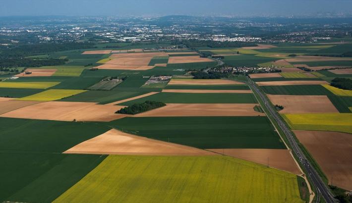 Paysage agricole Val d'Oise
