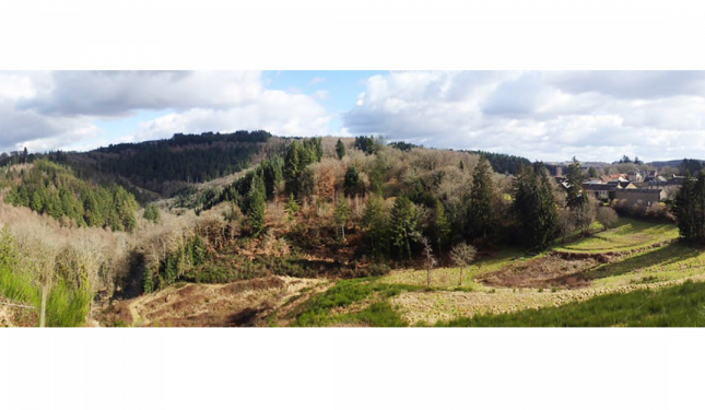 13 Pays ouest Creuse - Massif du Thaurion et son environnement forestier. Bourg sur crête. Verger, et espace public rural valorisant.