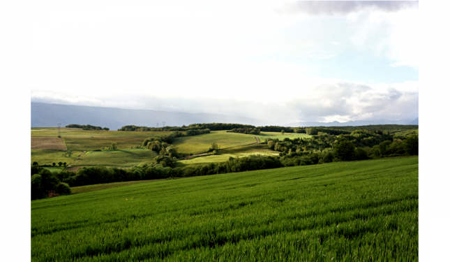 OPP du Département de Haute-Savoie