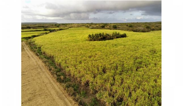 Communauté d’agglomération du Nord Grand-Terre  