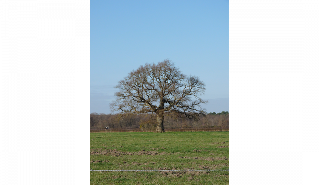 Communauté de communes Brenne-Val de Creuse