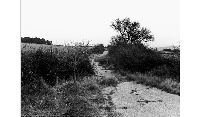 Itinéraire n° 3 - Plateau de l'Arbois 1999 Jean-Paul Bouilloud.png