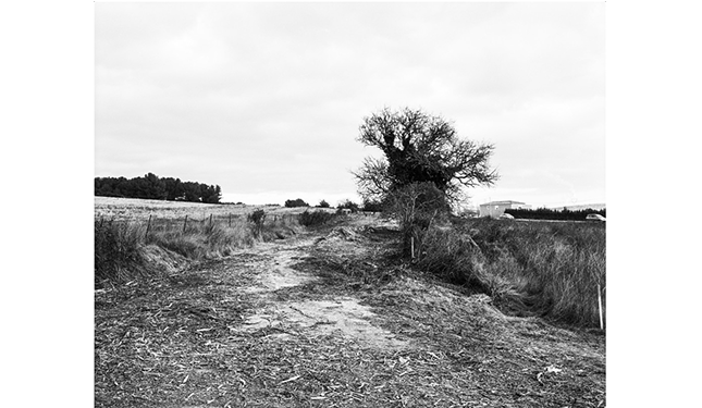 Itinéraire n° 3 - Plateau de l'Arbois 2013 Alain Ceccaroli.png 
