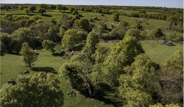 Vue aérienne