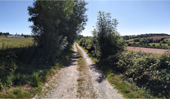 Chemin Pays de Gâtine