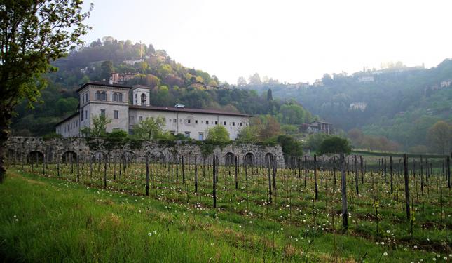 Italy - 10_Lorenzi_Vineyard.jpg (